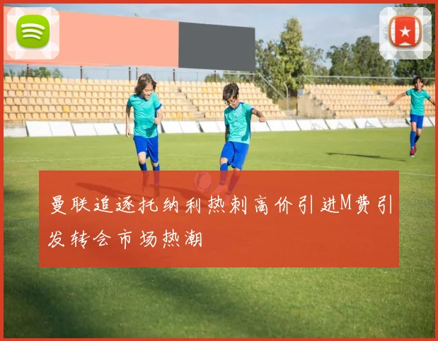 曼联追逐托纳利热刺高价引进M费引发转会市场热潮