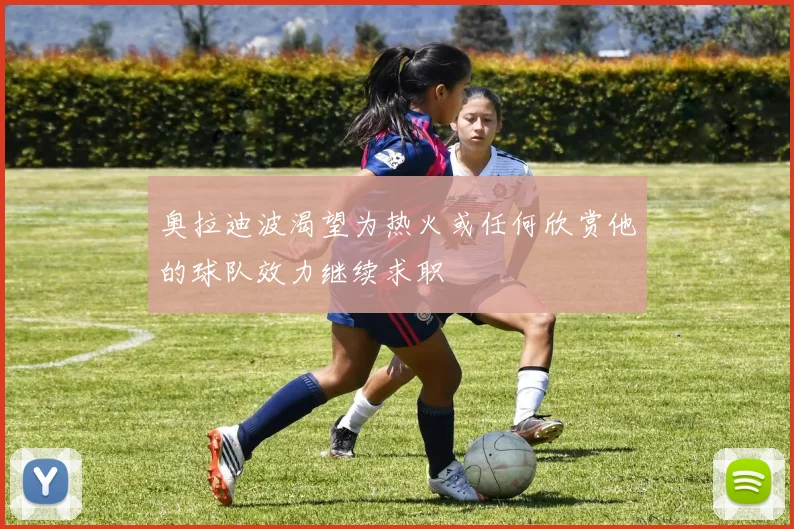 奥拉迪波渴望为热火或任何欣赏他的球队效力继续求职